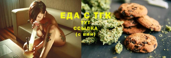 хмурый Аркадак