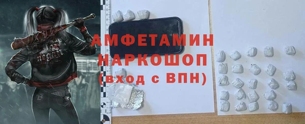 хмурый Аркадак