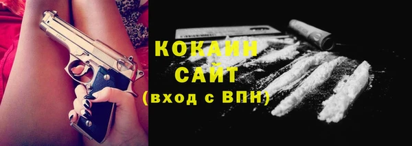 хмурый Аркадак