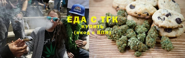 хмурый Аркадак