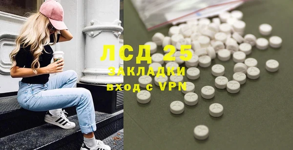 хмурый Аркадак