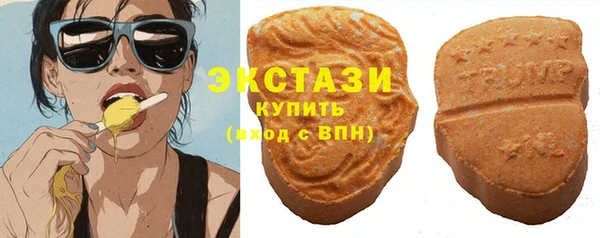 хмурый Аркадак