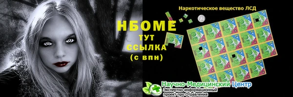 хмурый Аркадак