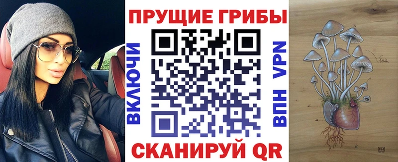дарнет шоп  Суоярви  Галлюциногенные грибы Cubensis 